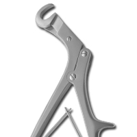 Rip Shears